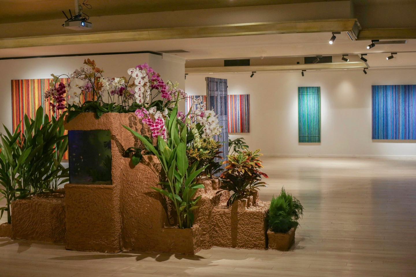 May be an image of Vanda orchid